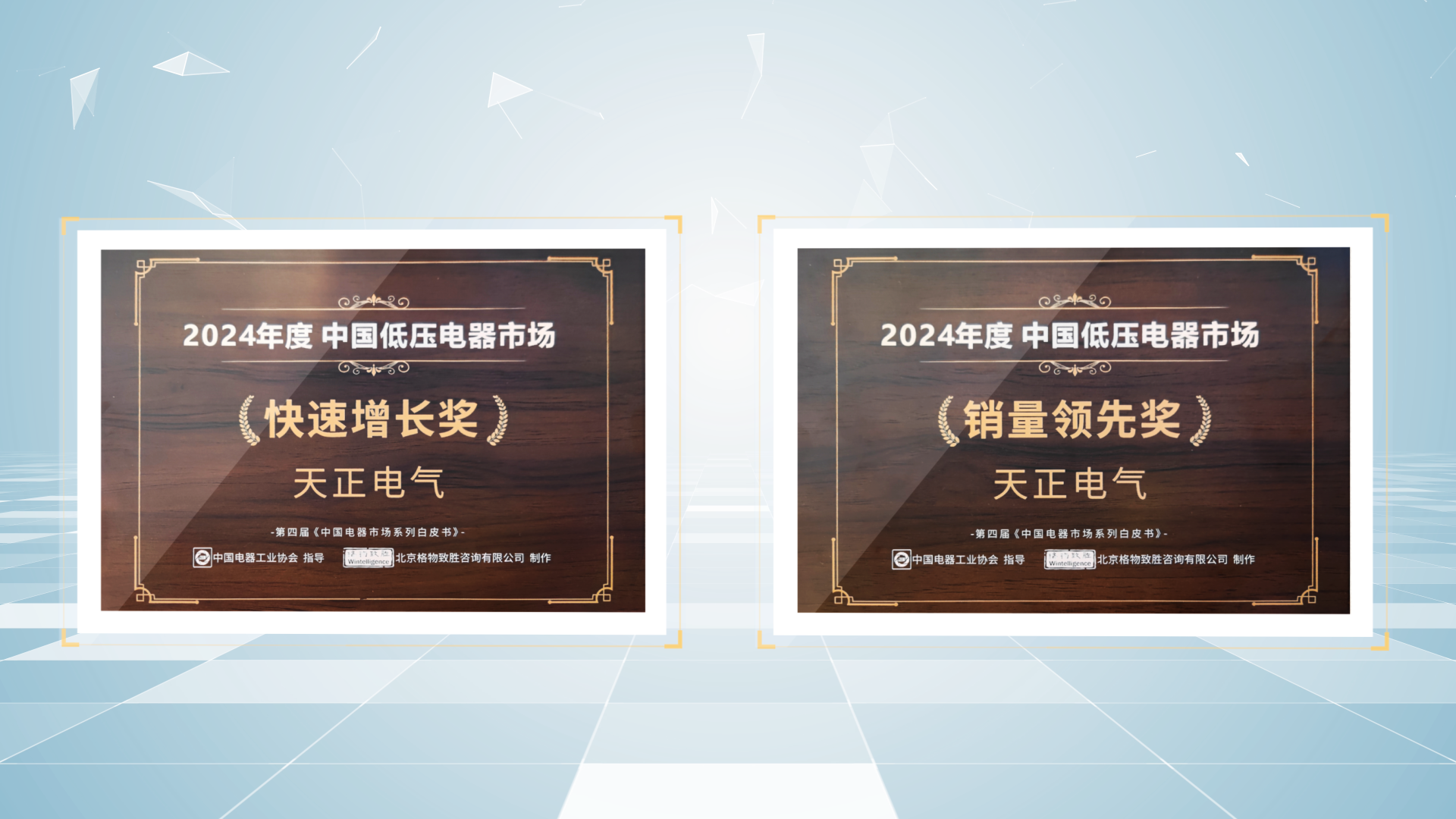销量领先、快速增长丨爱游戏·ayx-官网登录入口荣膺2项行业年度大奖